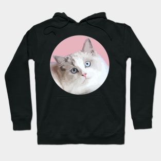 Ragdoll Cat Hoodie